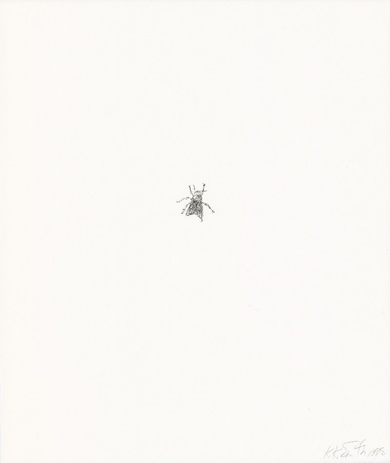 Fly