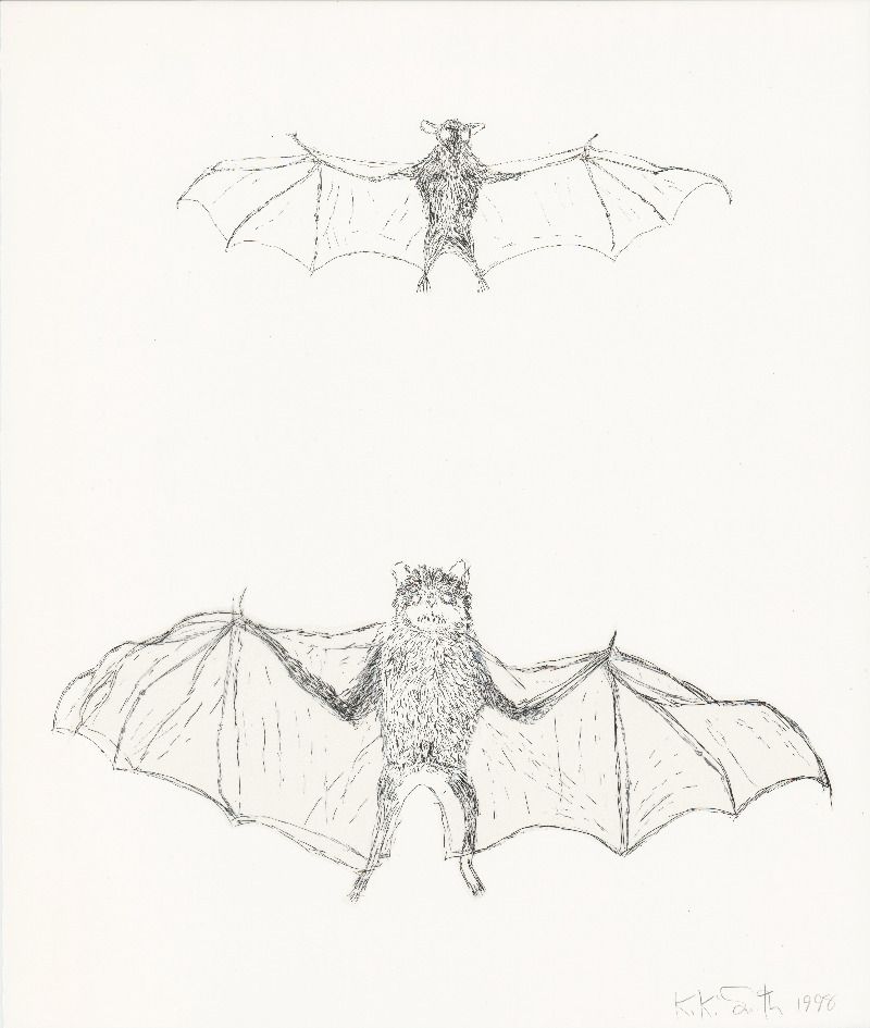 Bat